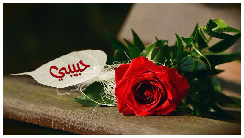 Your Name And Your Lover On A Red Flower White Paper 88 Postcard