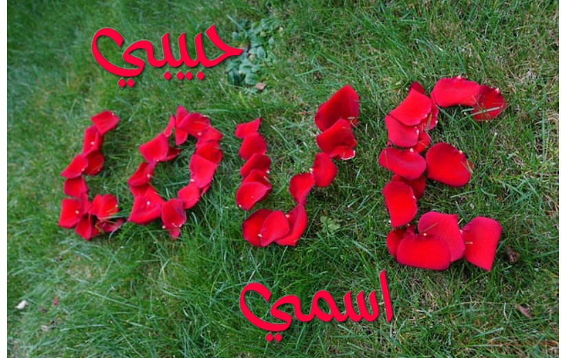 Your Name And Your Lover On The Word Love On The Grass Postcard