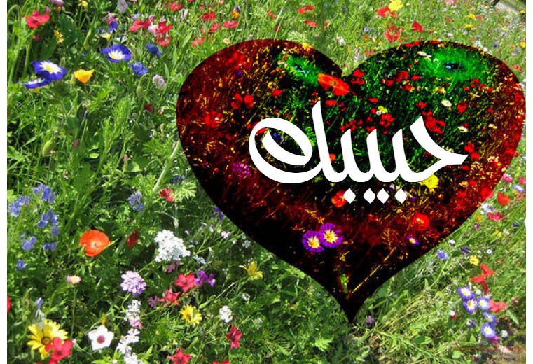 Type Your Lover's Name On The Heart Of Central Flowers Postcard