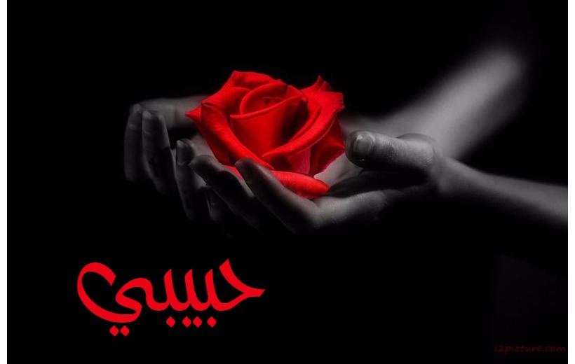 Your Name And Your Lover The Hands The Red Flower Postcard