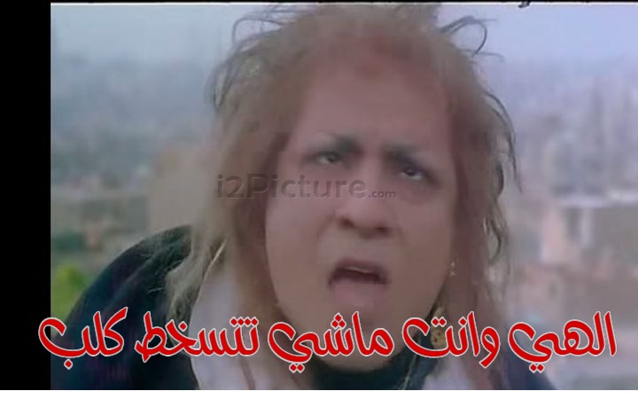  قفشات الأفلام - الهي وانت ماشي تتسخط كلب