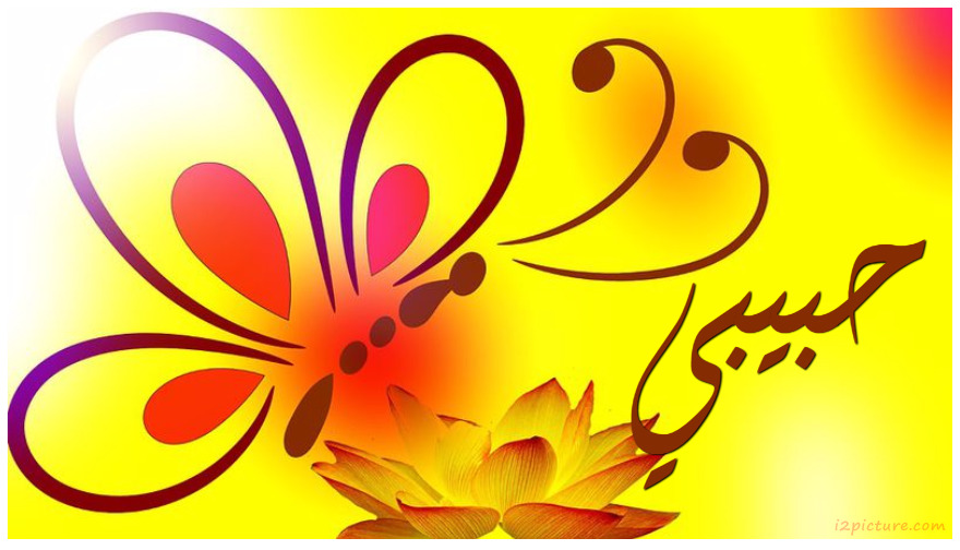 Type Your Lover's Name On The Orange Butterfly On A Yellow Background Postcard