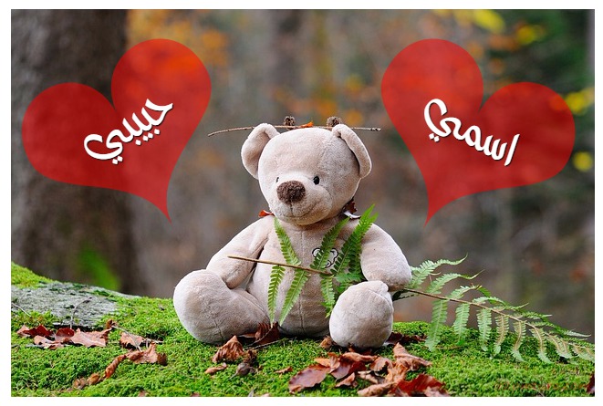 Teddy Bear Red Hearts Postcard