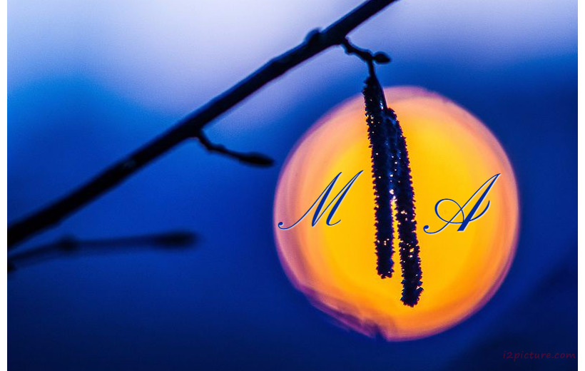 Your Lover's Name On The Sun At Sunset Postcard