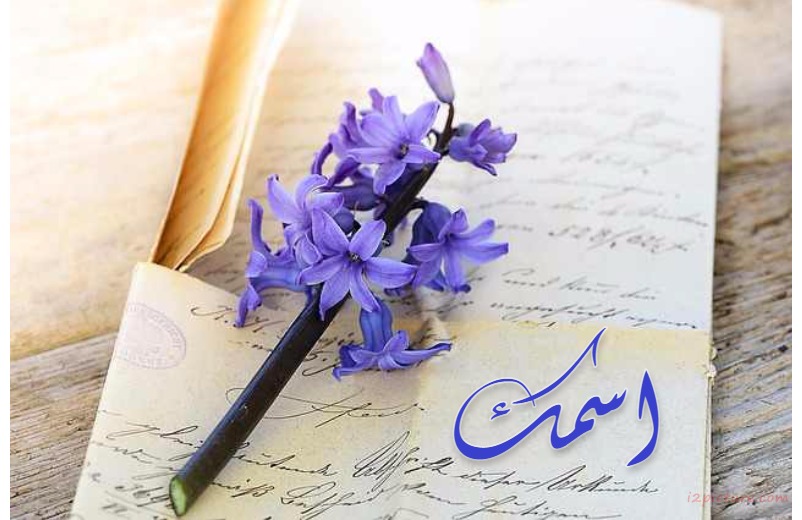 Write Your Name On The Side Of Violet Flower Postcard