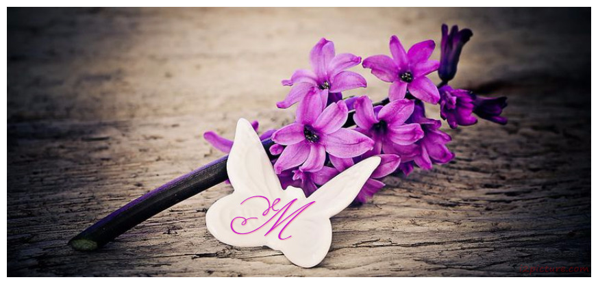 Lover Butterfly And Flowers Postcard