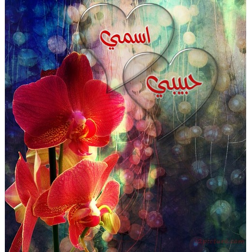 Flowers Transparent Hearts Postcard