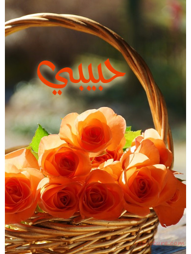 Type Your Lover's Name On The Orange Flower Basket Postcard