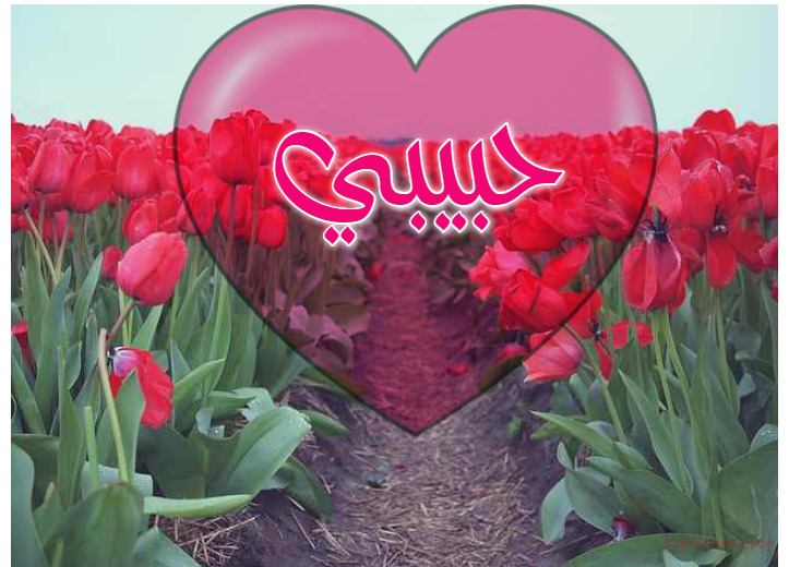 Your Lover's Name On The Heart Of Central Through Flowers Postcard