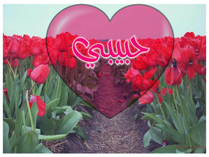 Your lover's name on the heart of central through flowers