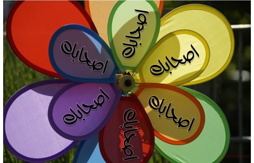 Write The Names Of Your Friends On A Color Rose Postcard