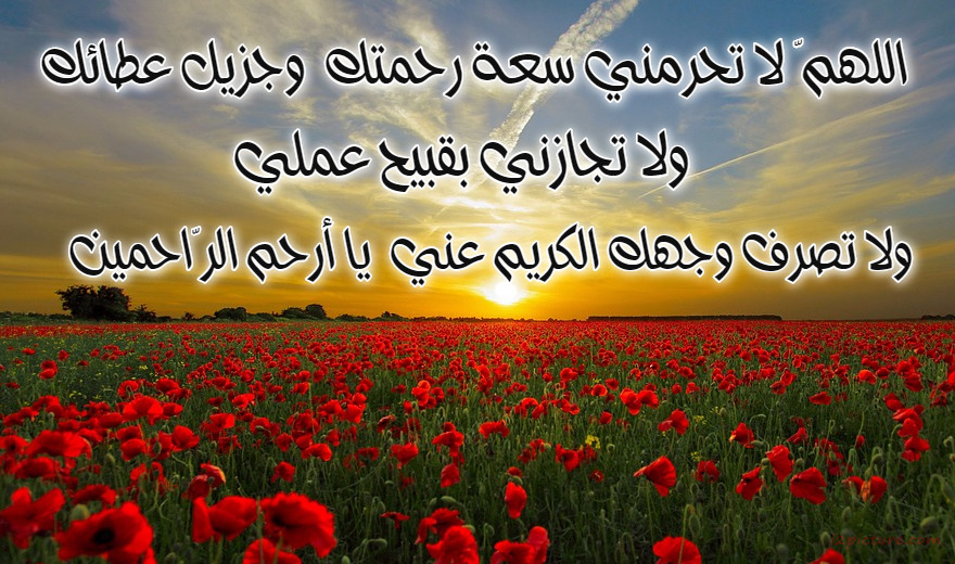 اللهمّ لا تحرمني سعة رحمتك  وجزيل عطائك Postcard