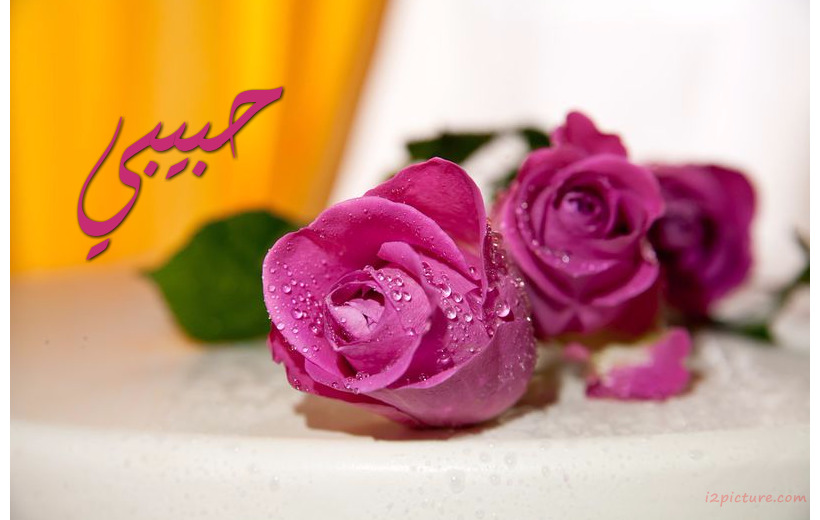 Type Your Lover On Purple Flowers With Dew Drops Postcard