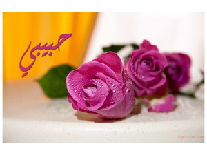 Type your lover on purple flowers with dew drops