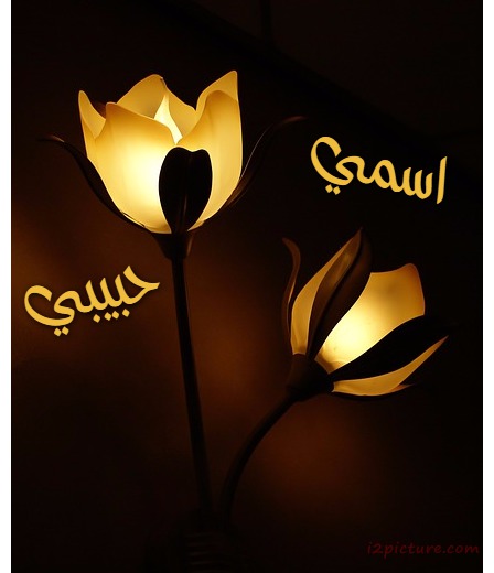 Your Lover's Name On The Lighting Unit Postcard