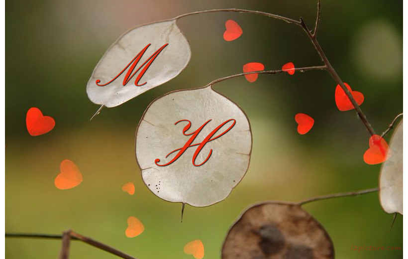 Name Your Lover On White Leaves In The The Garden Postcard