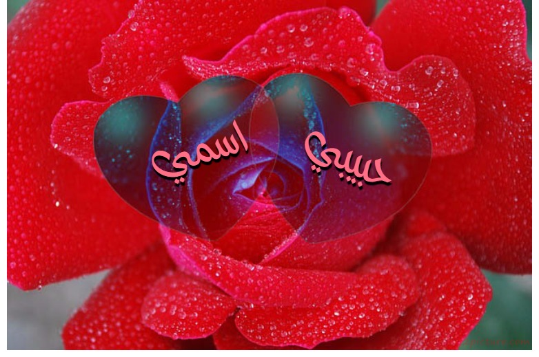 Your Name And Your Lover On Red Flower And Hearts Postcard