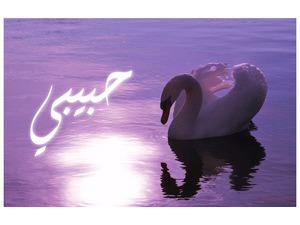 Your name and your lover swan and water Purple