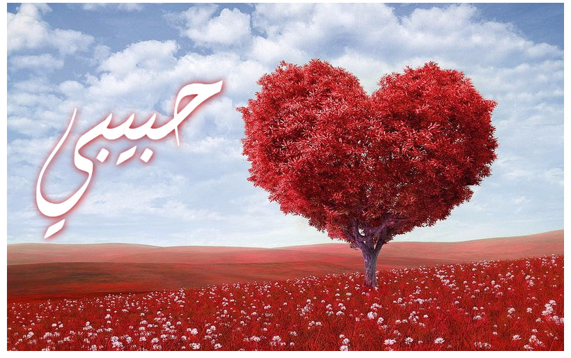 Your Name On A Red Heart Shaped Tree Postcard