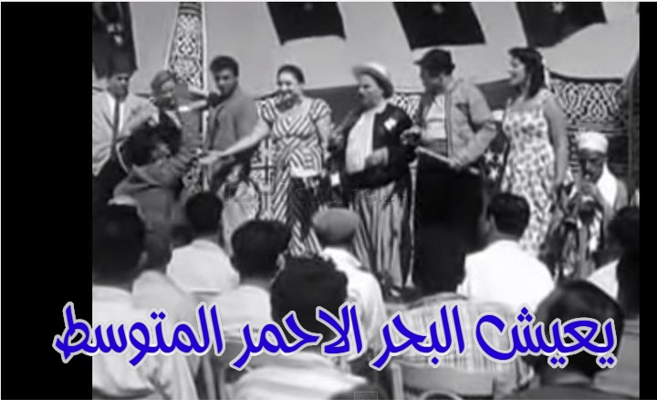  قفشات الأفلام - يعيش البحر الاحمر المتوسط