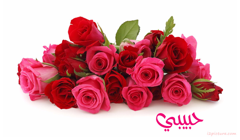 Write Your Name With Flowers Postcard