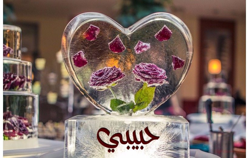 Your Lover's Name On The Heart Of The Ice Transparent Postcard