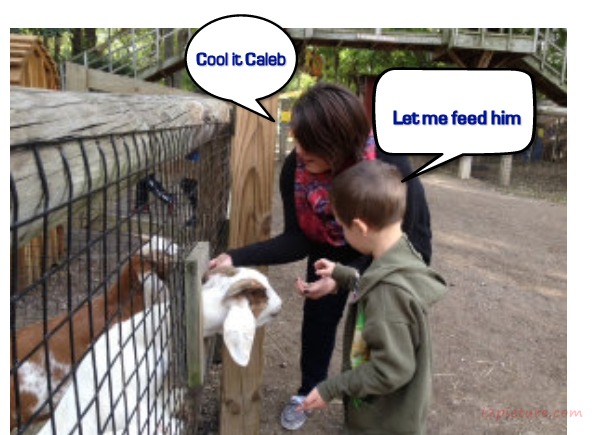 Write Name On Heart Manga Postcard