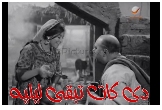  قفشات الأفلام - دى كات تبقى ليليه 