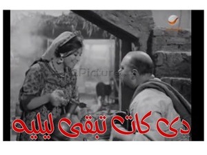 دى كات تبقى ليليه 