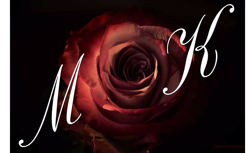 Your Lover's Name On The Red Rose Black Background Postcard