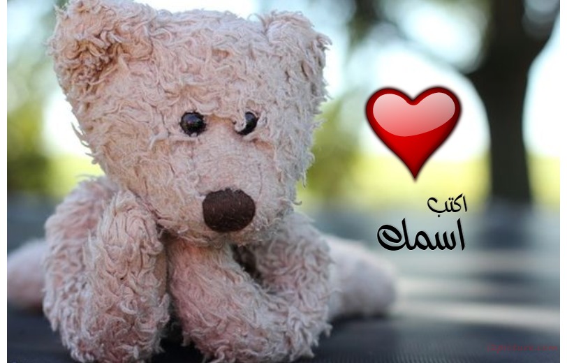 I'm Still Single Postcard