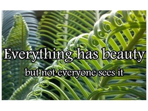 Everything has beauty but not everyone sees it