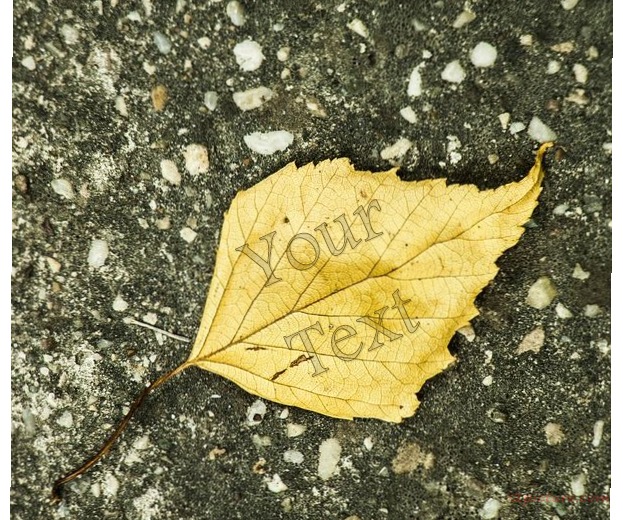 Leaf Of Autumn Postcard