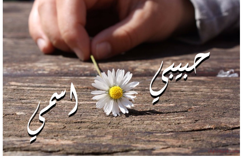 Your Lover's Name On The Wood Floor And White Flower Postcard