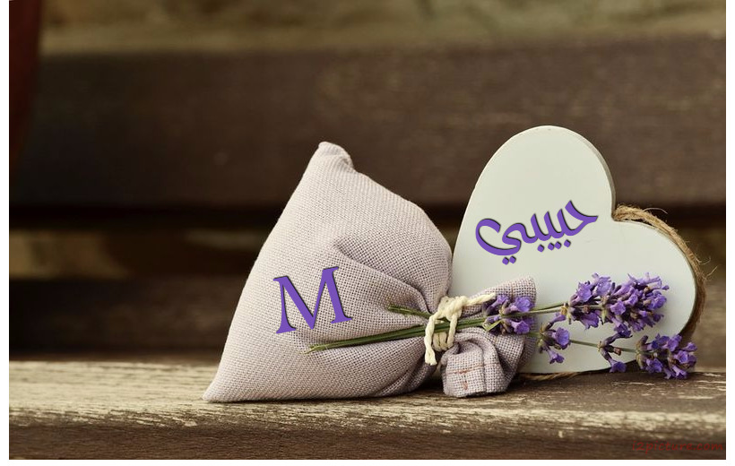 Your Name And Your Lover On The Heart And Bag Postcard