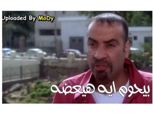 بيحوم ايه هيعضه 