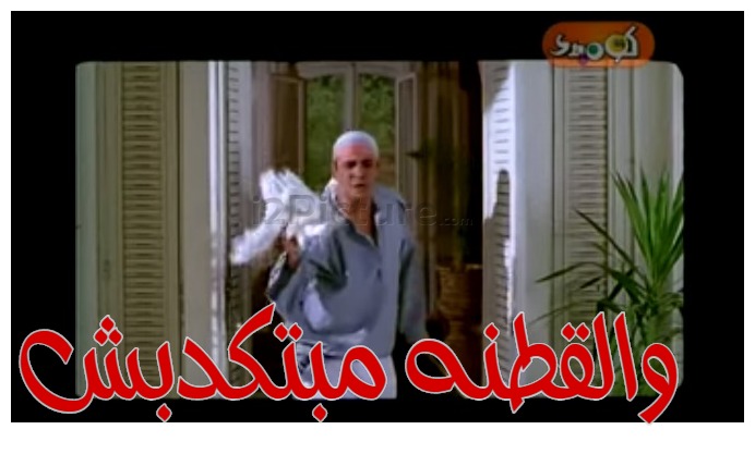  قفشات الأفلام - والقطنه مبتكدبش