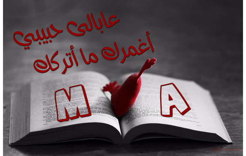 Your Name And Your Lover Have A Heart And A Book Postcard