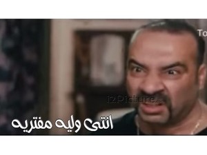 انتى وليه مفتريه 