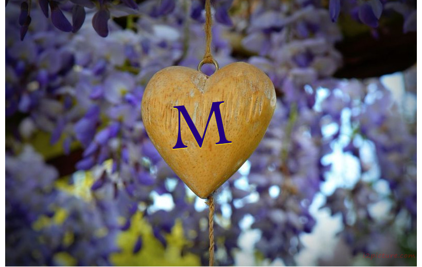 Wooden Heart Postcard