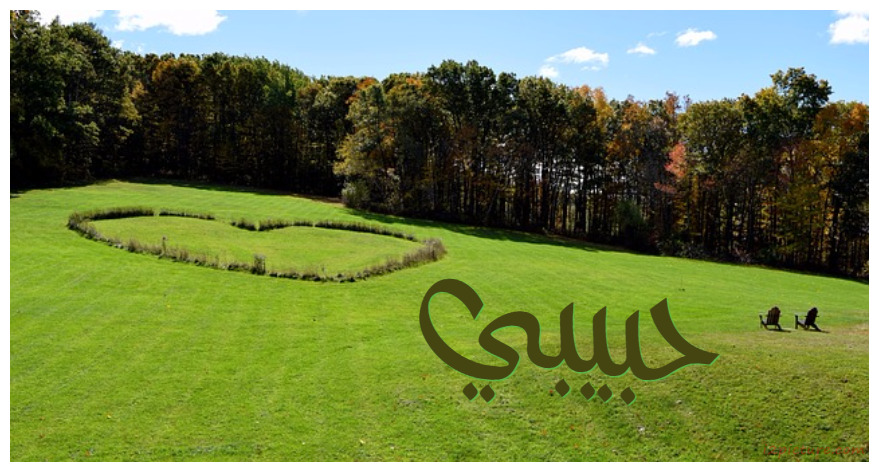 Your Lover's Name On The Heart In Nature Postcard