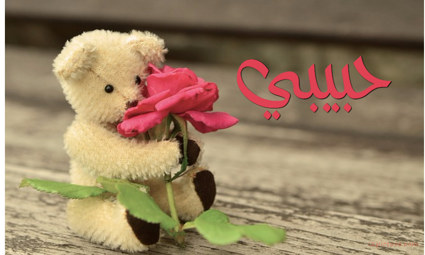 Name Your Lover Next To Teddy Bear And Flower Postcard