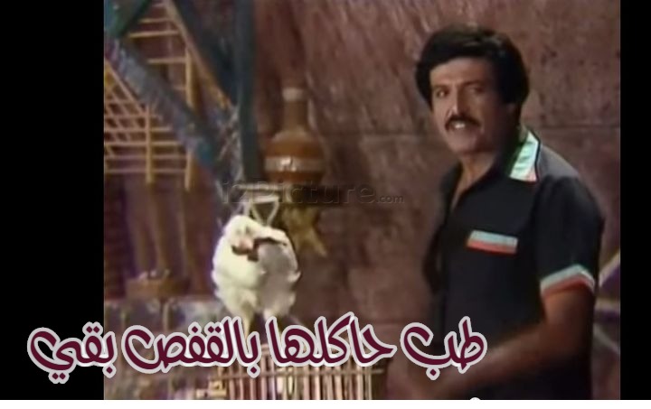  قفشات الأفلام - طب حاكلها بالقفص بقي