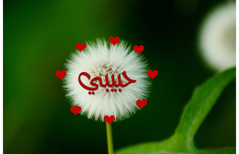 Your Lover On A White Leaf Postcard