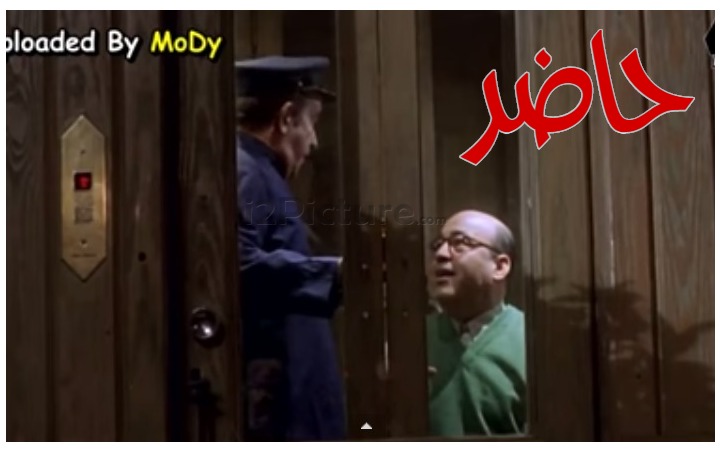  قفشات الأفلام - حاضر