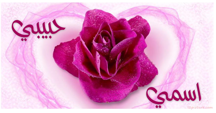 Your Name And Your Lover At Heart And A Flower On The Ground Postcard