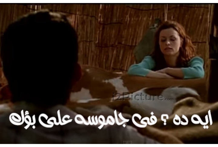  قفشات الأفلام - ايه ده ؟ فى جاموسه على بؤك