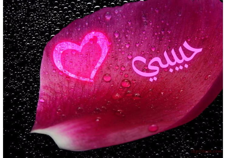 Your Lover's Name On A Sheet Of Flower And Heart Postcard