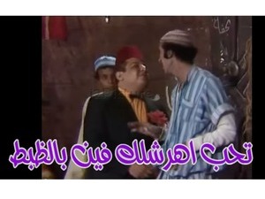 تحب اهرشلك فين بالظبط