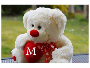 teddy bear red heart